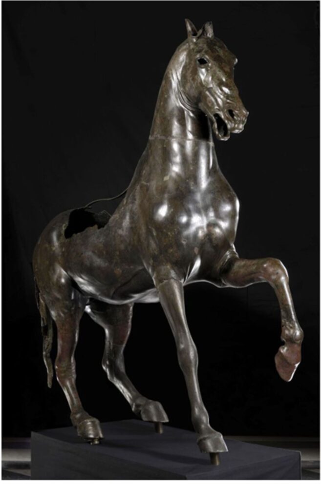Cavallo di bronzo, Musei Capitolini