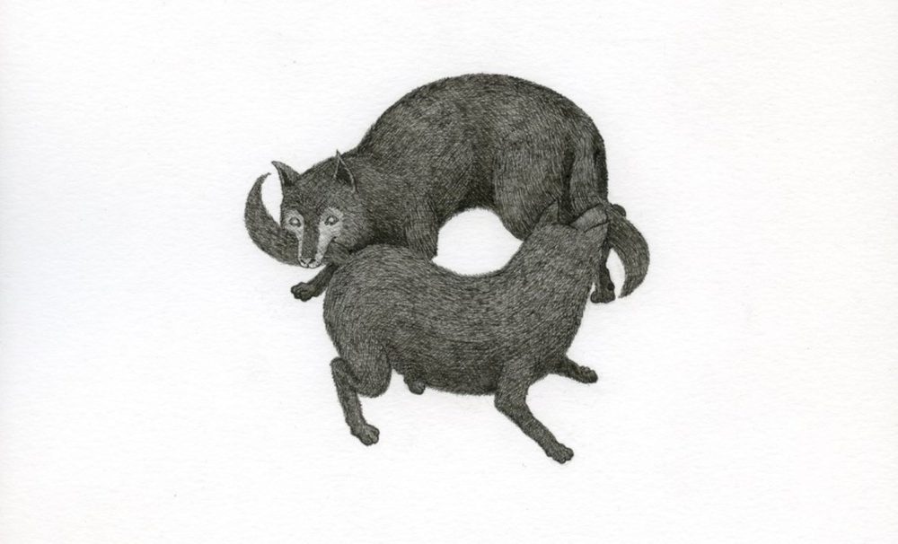 Olmo Erba, Putridarium, Galleria Amy-D, Milano