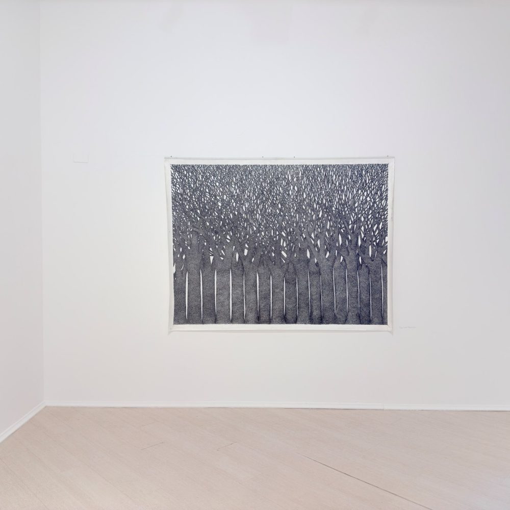 Olmo Erba, Putridarium, Galleria Amy-D, Milano