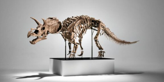 Lo scheletro di Triceratopo in asta da Phillips