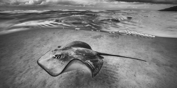 Moorea, Polinesia Francese. 2019 © Cristina Mittermeier