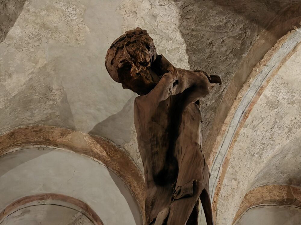 Nicola Samorì, Classical Collapse, Pinacoteca Ambrosiana, Milano