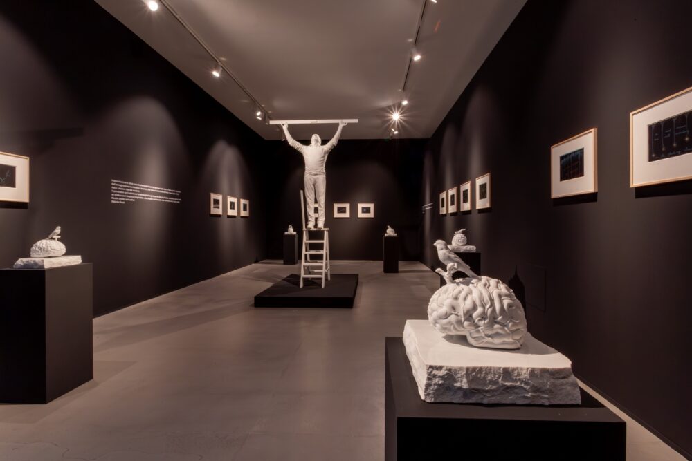 Veduta della mostra Jan Fabre. Songs of the Canaries e Songs of the Gypsies, 21Gallery, Villorba (TV), 2025. Ph. Marco Zambon - Frameday