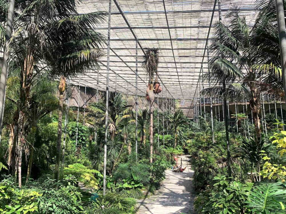 La Triennale di Lisbona Ph Claudia Zanfi