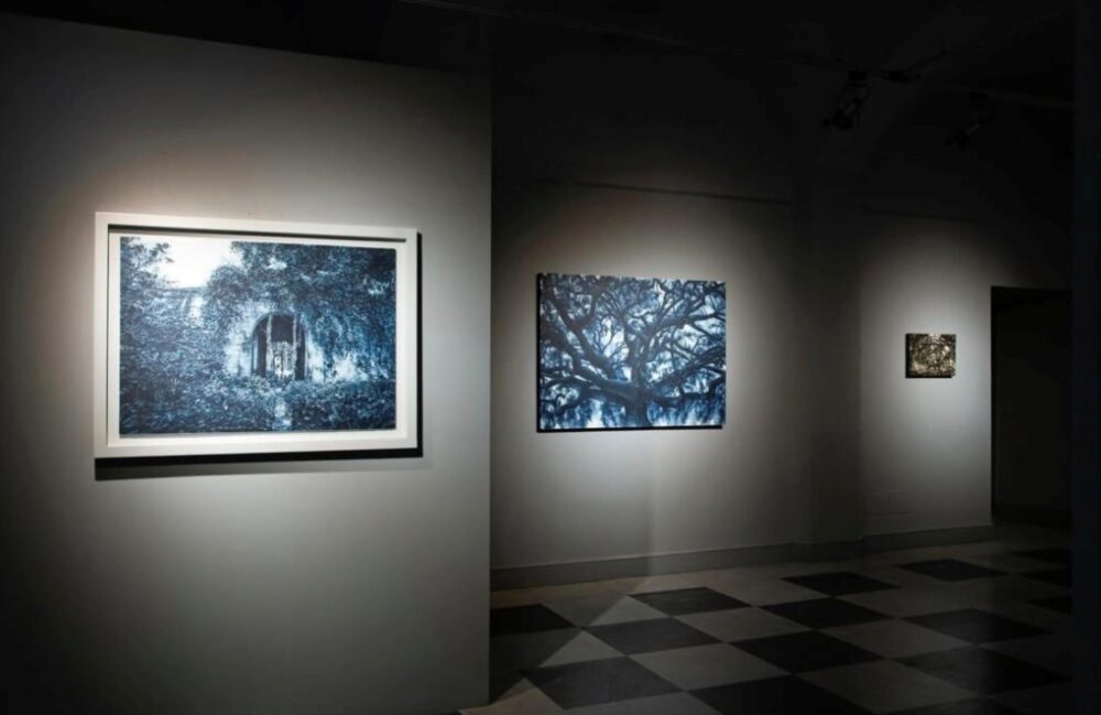 Andrea Chiesi, Dharmata, Palazzo del Parco, Diano Marina