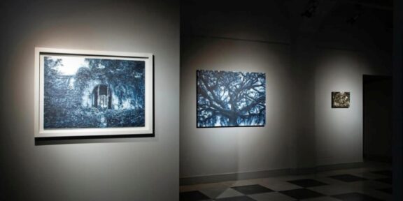 Andrea Chiesi, Dharmata, Palazzo del Parco, Diano Marina