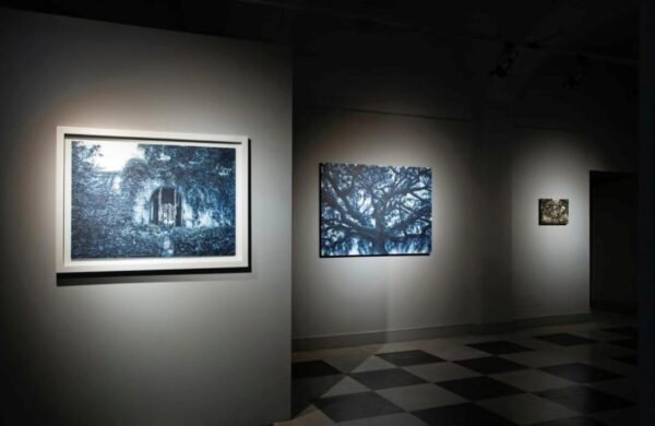 Andrea Chiesi, Dharmata, Palazzo del Parco, Diano Marina