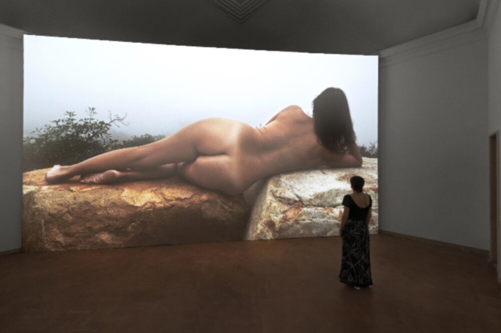 Coyote Venus, Daniele Puppi