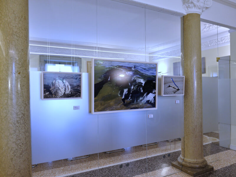 "Politico" di Giuseppe Ripa, AIPB