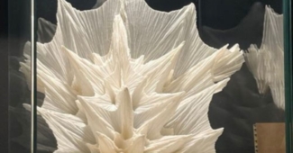 A Saragozza l’origami diventa occidentale. Il caso EMOZ