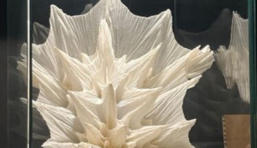 Escuela Museo de Origami, Zaragoza