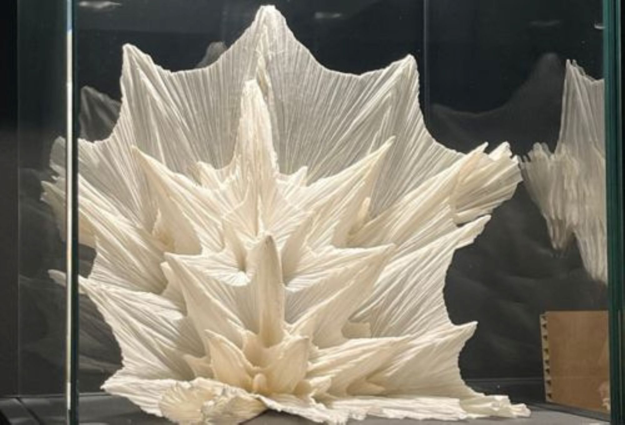 A Saragozza l’origami diventa occidentale. Il caso EMOZ