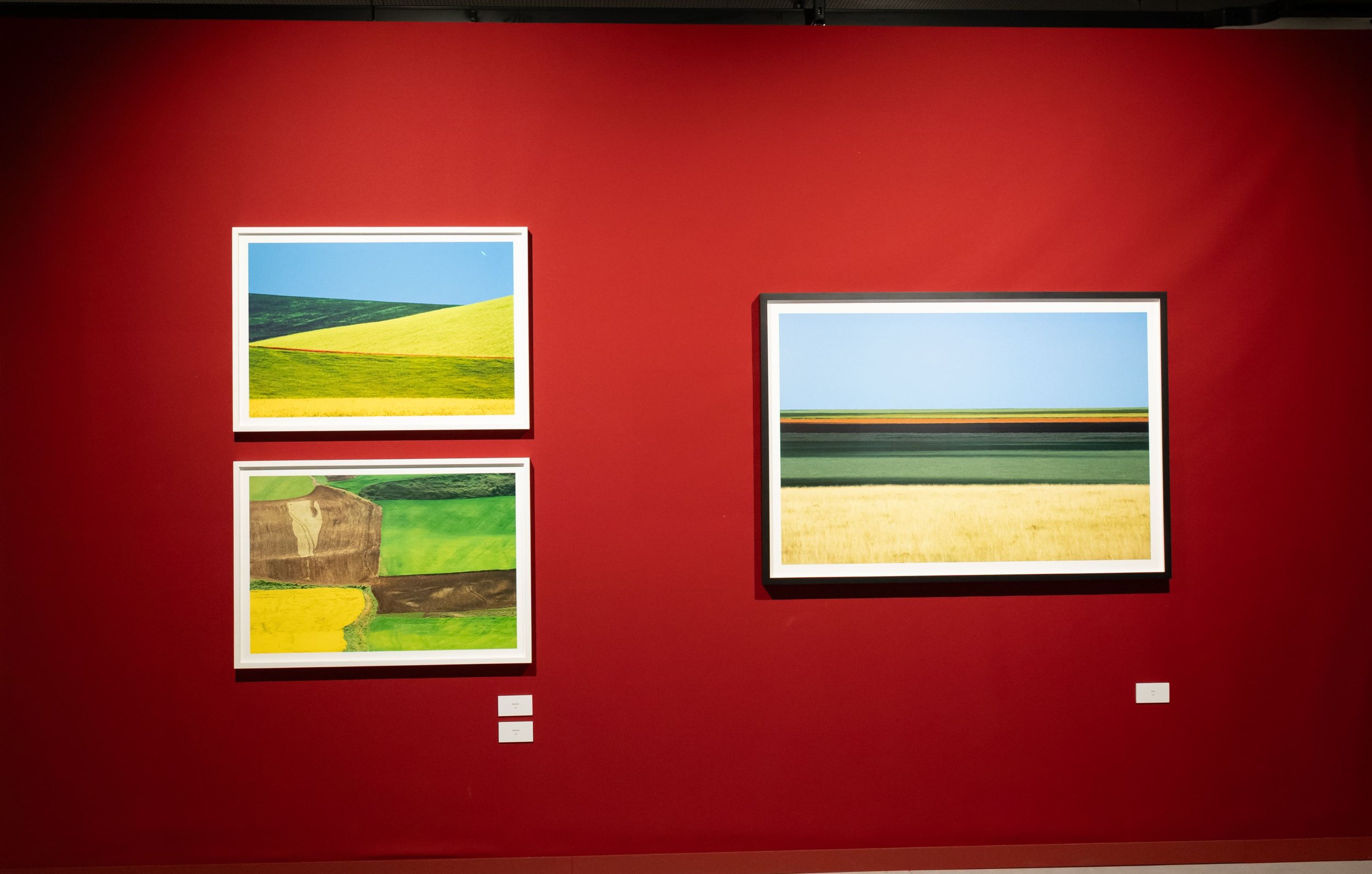 Il colore come visione. Franco Fontana in mostra a Jesolo
