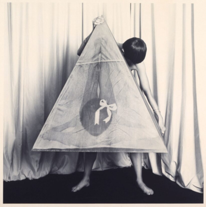 Helen Chadwick, The Labours I, Incubator – birth, Chadwick Estate