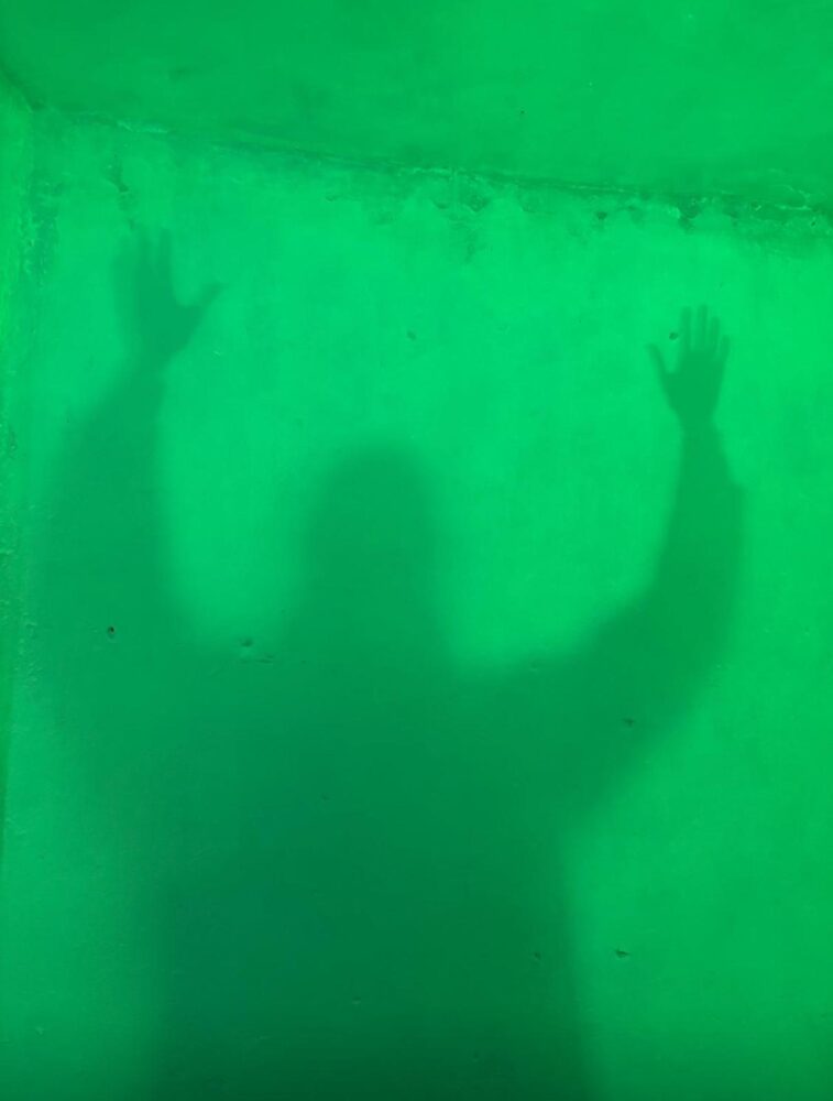 L'ombra di Paneghini nell'opera interattiva di Alberto Biasi