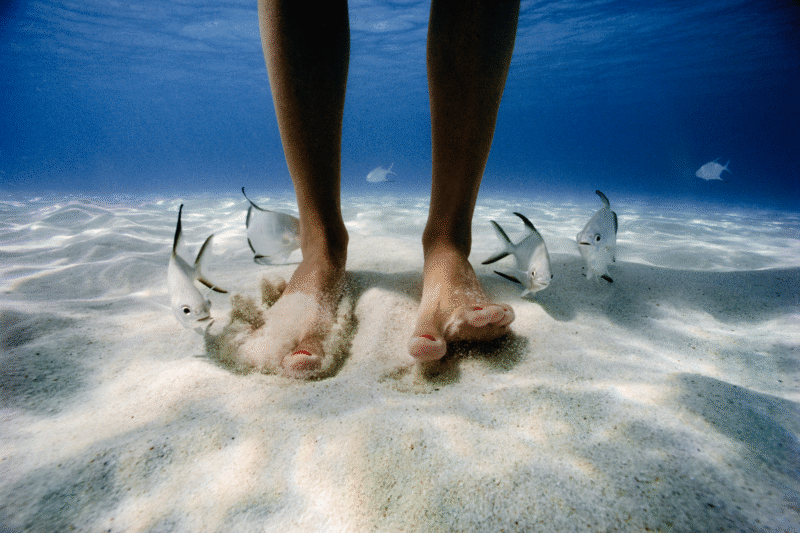 Fish and Feet by David Doubilet