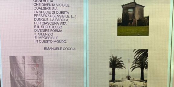 Davide Bassan, Edicò, Rovigo rondoni