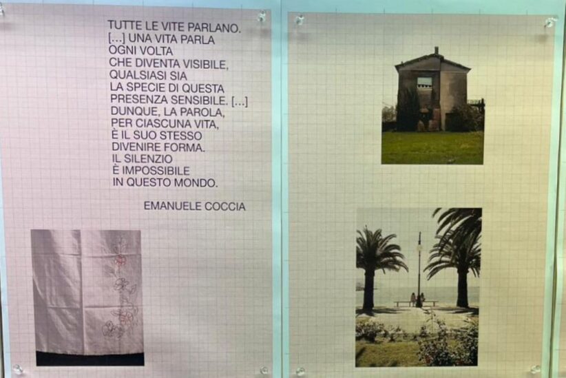 Davide Bassan, Edicò, Rovigo rondoni