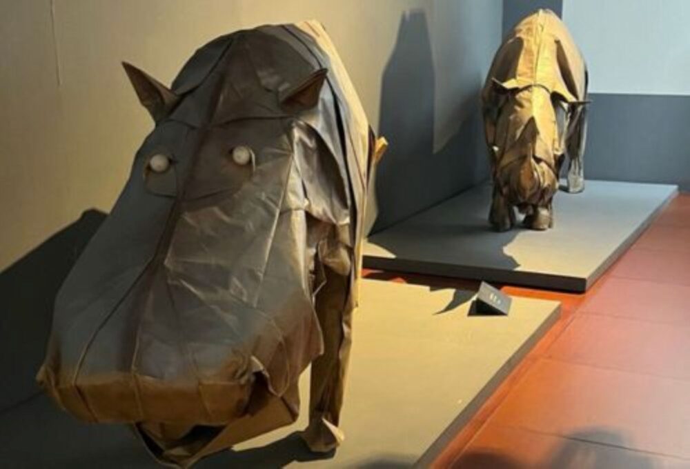 Escuela Museo de Origami, Zaragoza