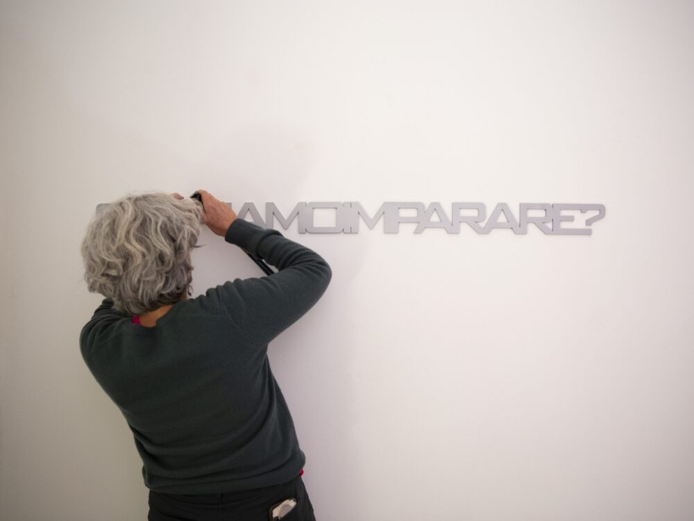 Stefano Boccalini, Sappiamo?, Sconfina, Milano (foto Filippo Romano)