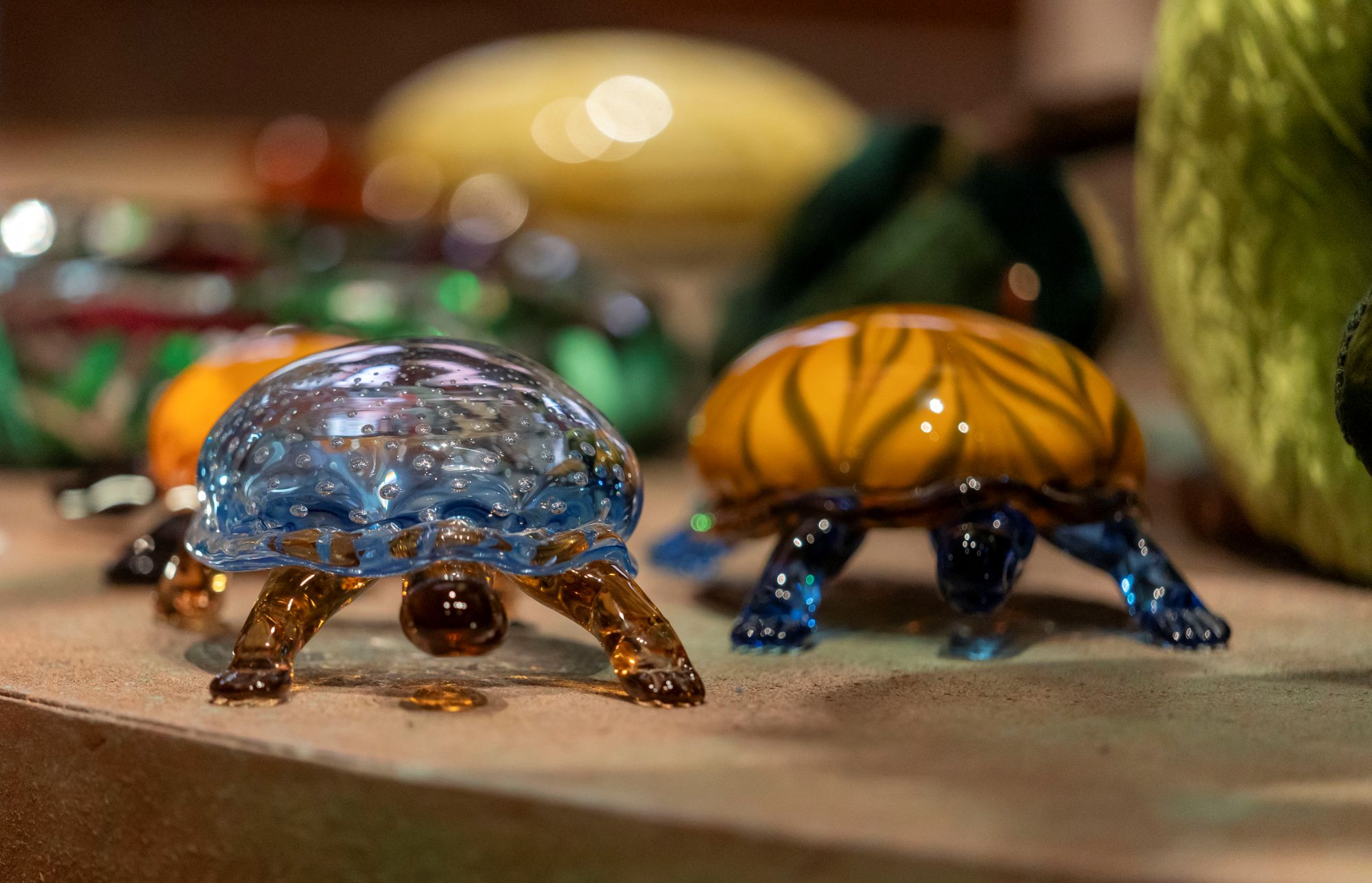 L’Albero della Vita. Carla Tolomeo al Palazzo Madlena di Belgrado