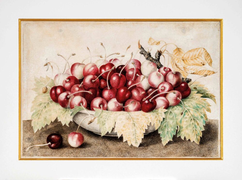 Giovanna Garzoni, Piatto di ciliegie, 1642-1670 circa, Collezione privata, courtesy Benappi, foto Claudio Giusti
