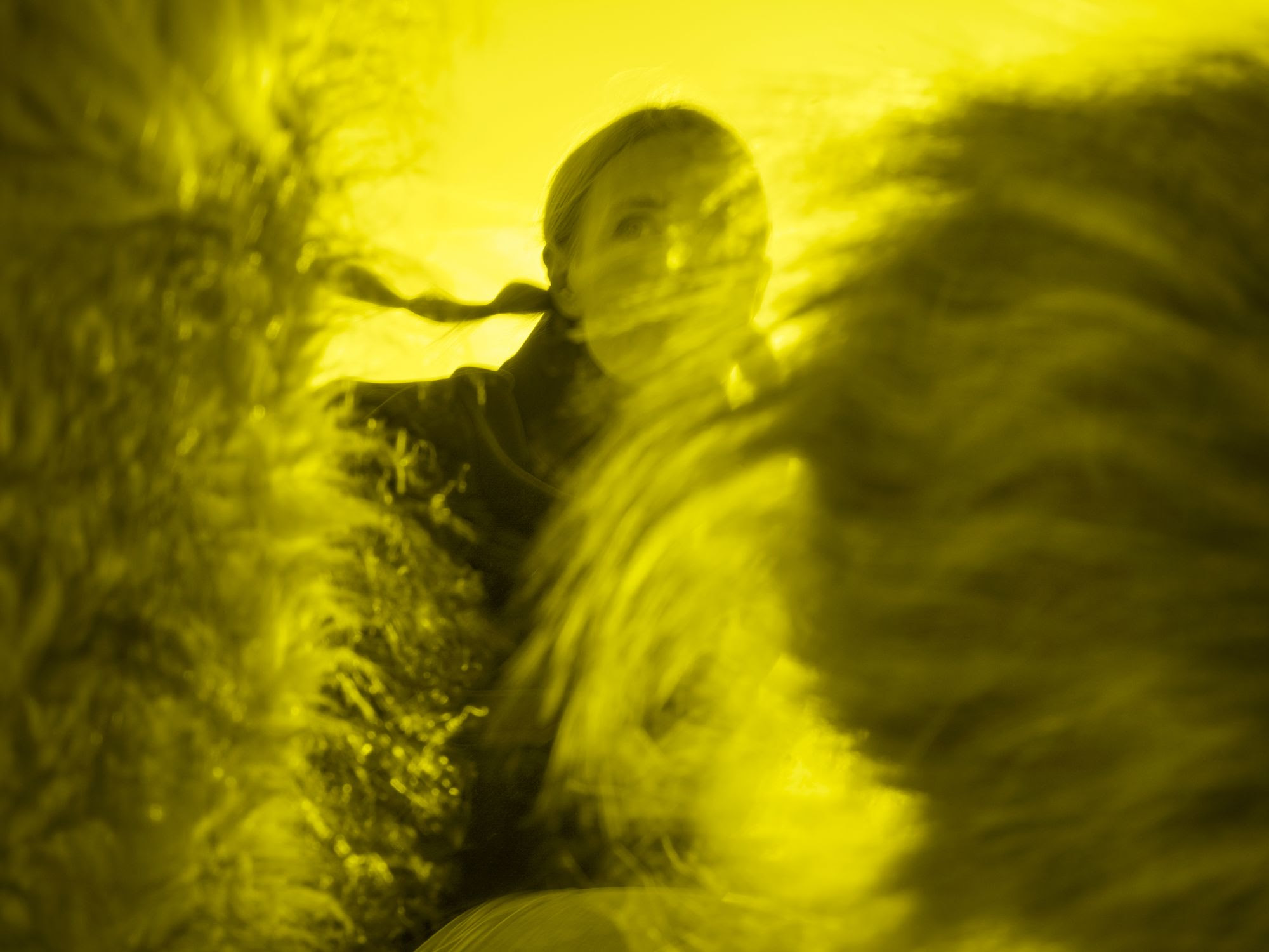 70 anni di Finlandia a Venezia, con il vento di Jenna Sutela