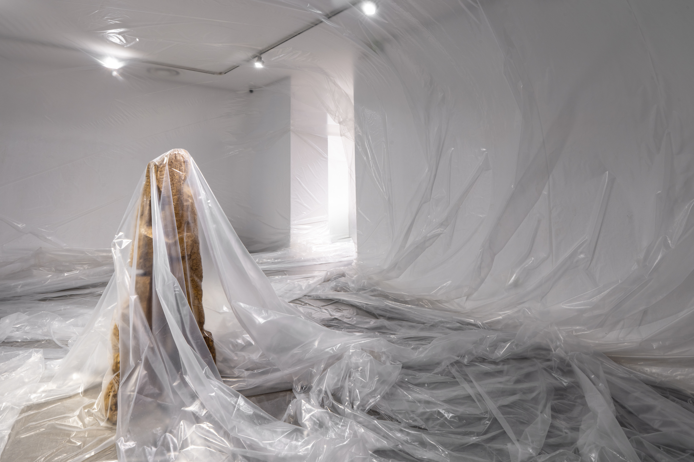 Il respiro della scultura: Franco Mazzucchelli al MAN