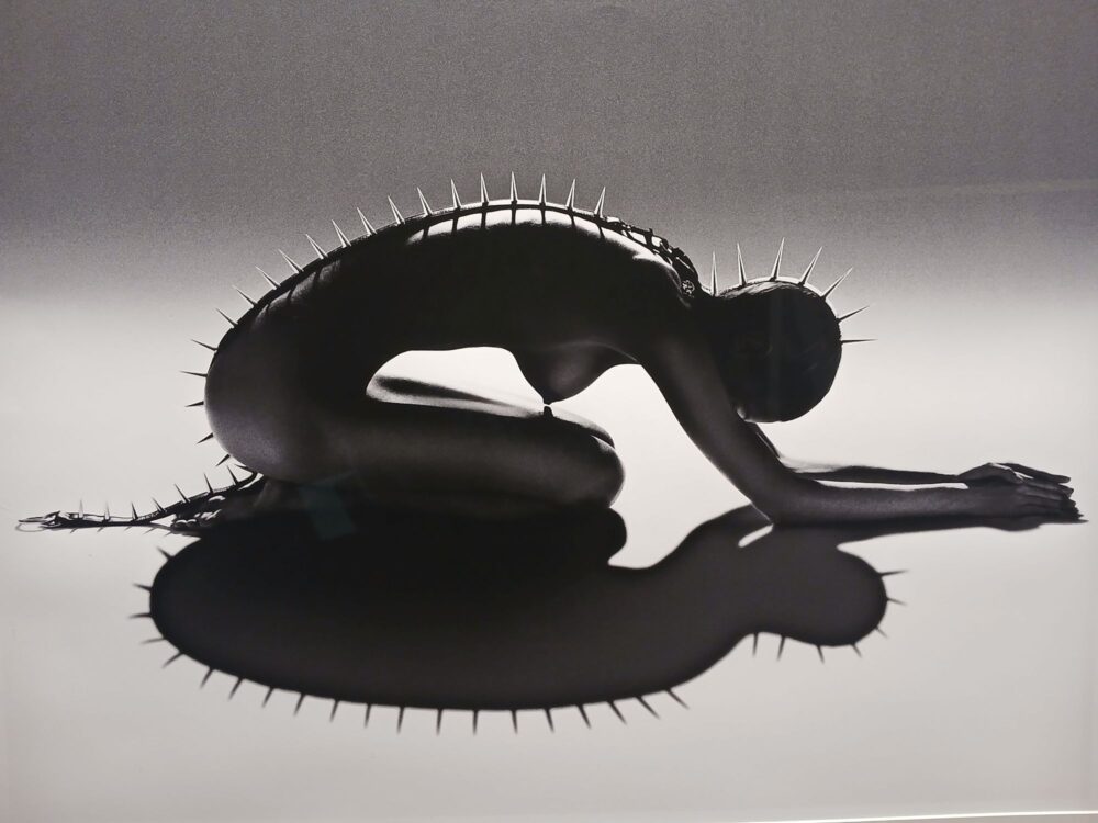 Marco Glaviano. Fashion Portraits, Palazzo Vassé, Bologna