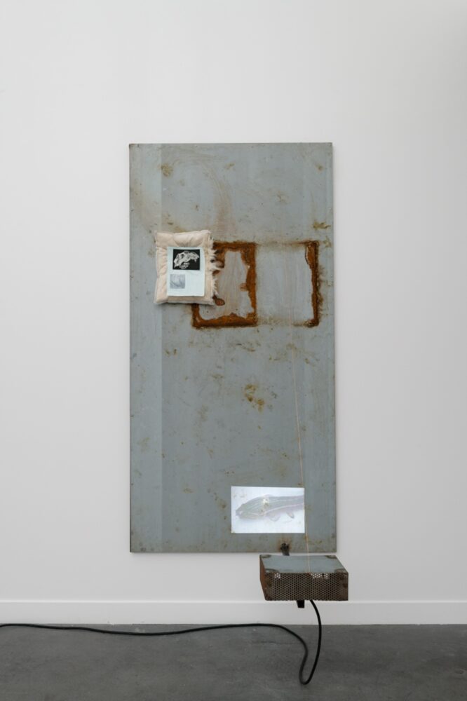 Mountaincutters, 23 Heures teintées (Amia Calva), 2024 Steel, video projection, optimized printing on cotton paper, mag - nets, kapok, sewn recycled plastic, paper, paint 200 x 100 x 80 cm, courtesy FRENCH PLACE & the artists