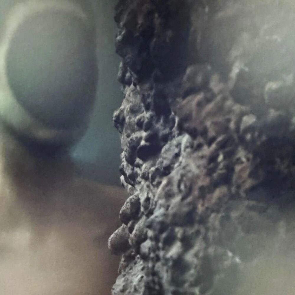 Pierre Huyghe, Liminals, 2026. Fotogramma del film commissionato da LAS Art Foundation e Hartwig Art Foundation. Courtesy the artist. © 2026 Pierre Huyghe
