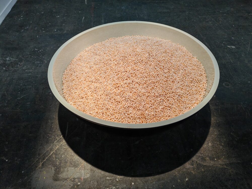 Ai Weiwei, Neuguerriemschneider, ArcoMadrid 2026