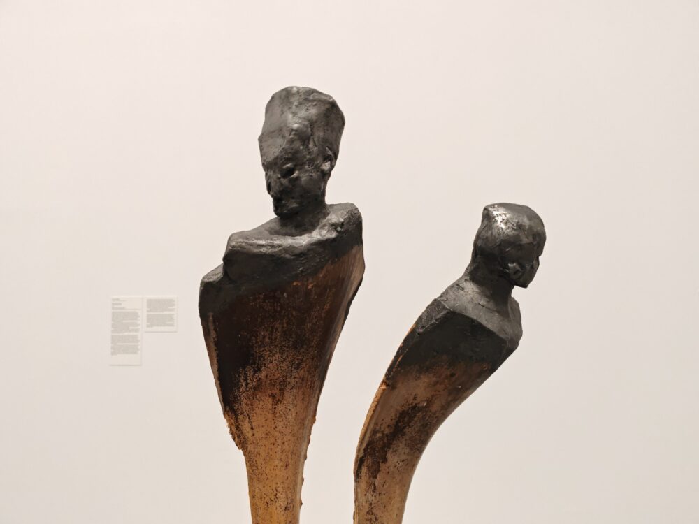 Collection, Contemporary Art 1975 - present, Museo Reina Sofia, Madrid