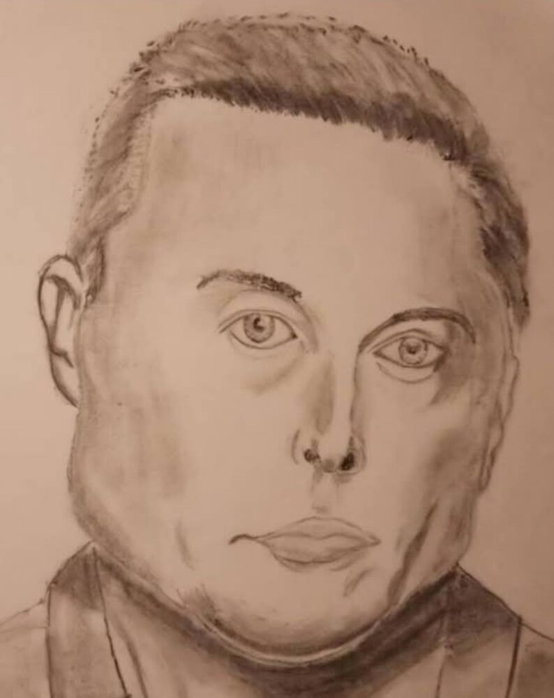Il ritratto di Elon Musk apparso su X