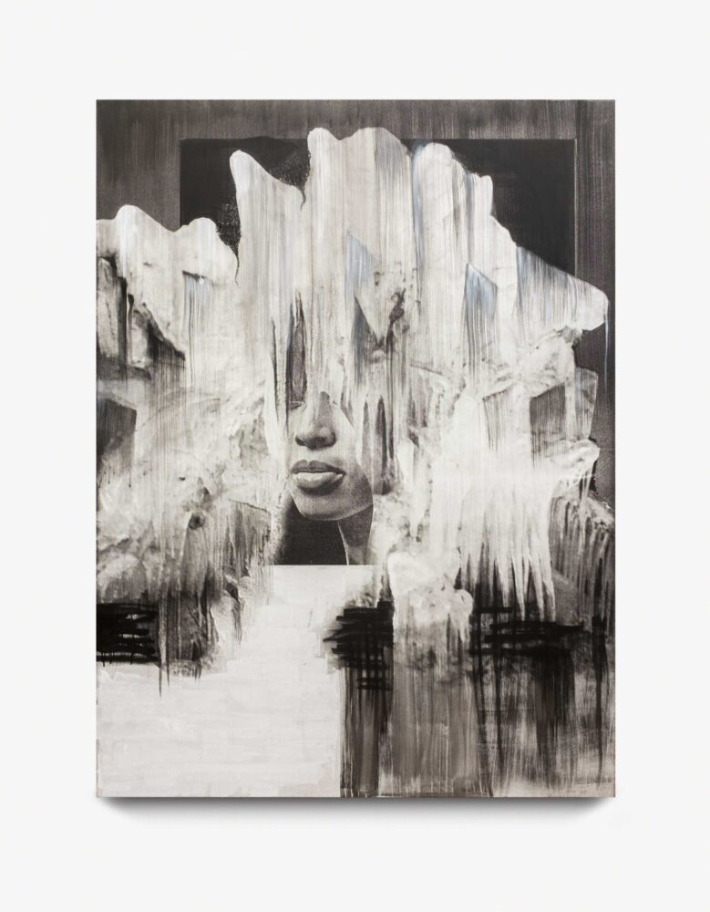 Lorna Simpson, “Head on Ice”, 2016. Mixed Media. Photo James Wang