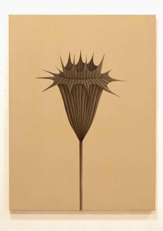 Marco Sisto, Fiore di carta terra d'ombra naturale, 2026