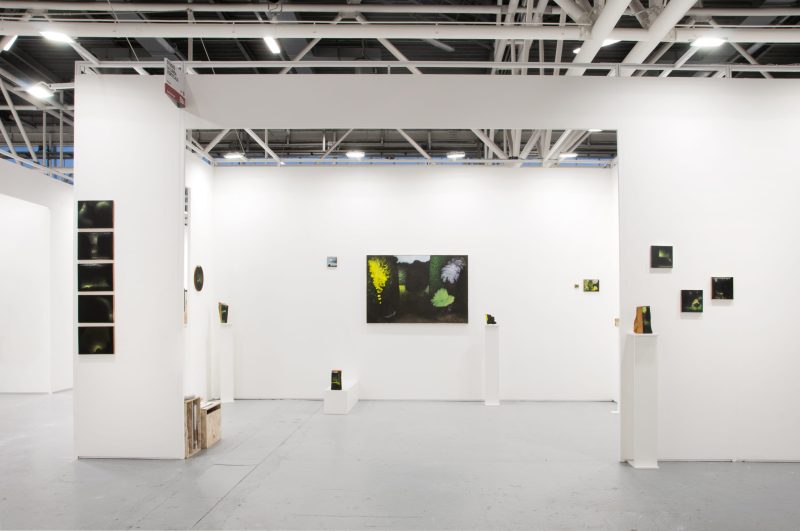Claudio Valerio in solo show ad ArteFiera Bologna 2026, Studio la Linea Verticale