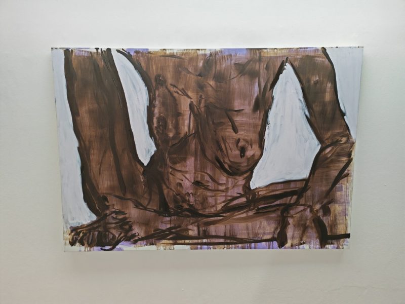 Gabrielle Goliath, Bearing, Galleria Raffaella Cortese, Milano