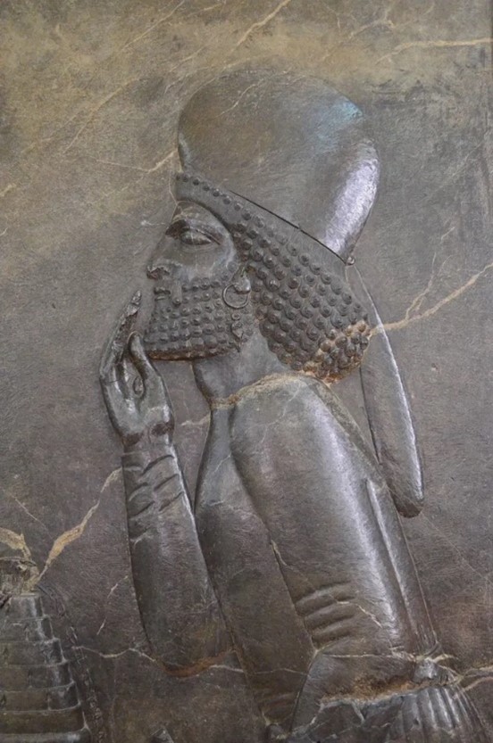 Dignitario persiano (dettaglio). Bassorilievo, pietra, V sec. a.C. da Persepolis, Tehran, Museo Nazionale dell’Iran