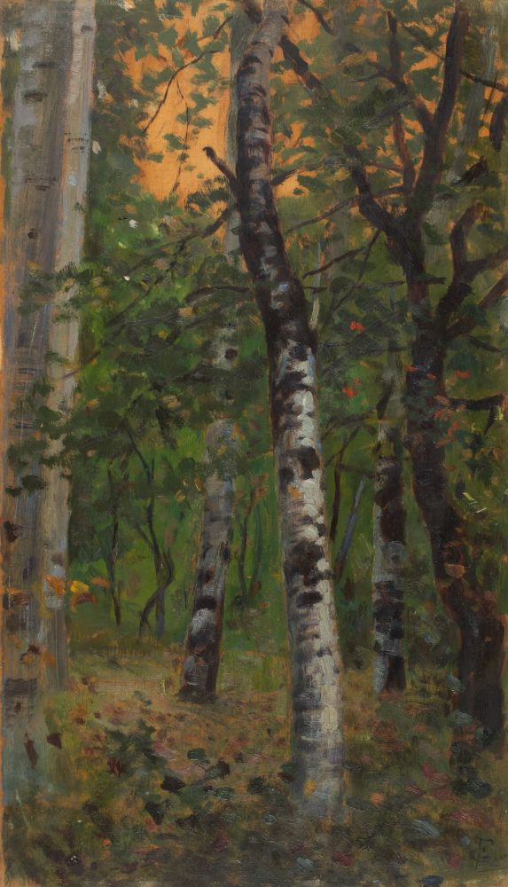 Francesco Gioli, Albereta di pioppi, Fauglia (studio), 1890 ca, olio su tela, collezione privata