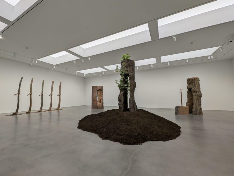 Giuseppe Penone, The Reflection of Bronze, Gagosian, New York (foto Sabrina Drigo)