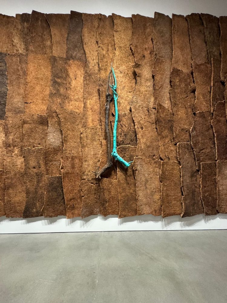 Giuseppe Penone, The Reflection of Bronze, Gagosian, New York (foto Sabrina Drigo)