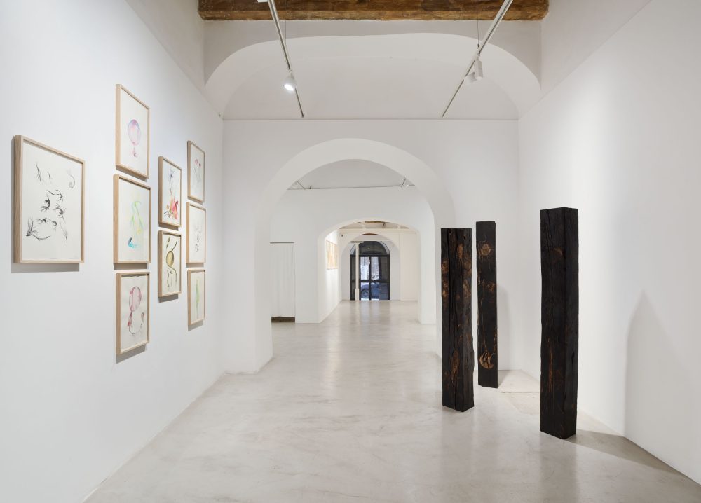 Materia Madre, Lingua Madre, 2026, installation view, Galleria Erica Ravenna, foto Roberto Apa, Courtesy Galleria Erica Ravenna