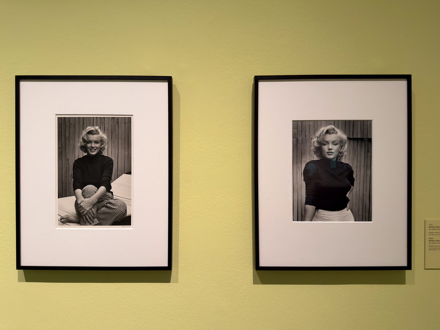 Marilyn Monroe, a Portrait, National Portrait Gallery, Londra (foto Mario Bucolo)