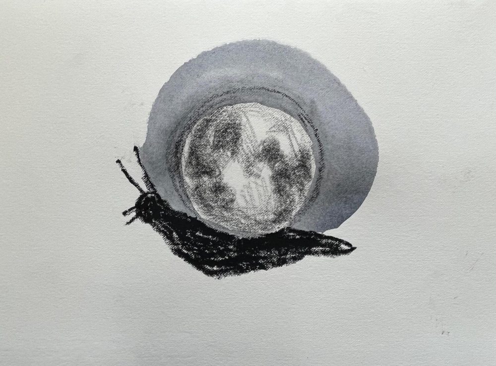 Davide Dormino, Luna-maca, Pastello a olio, carboncino, acquerello su carta, 21x28 cm, 2026 lumaca
