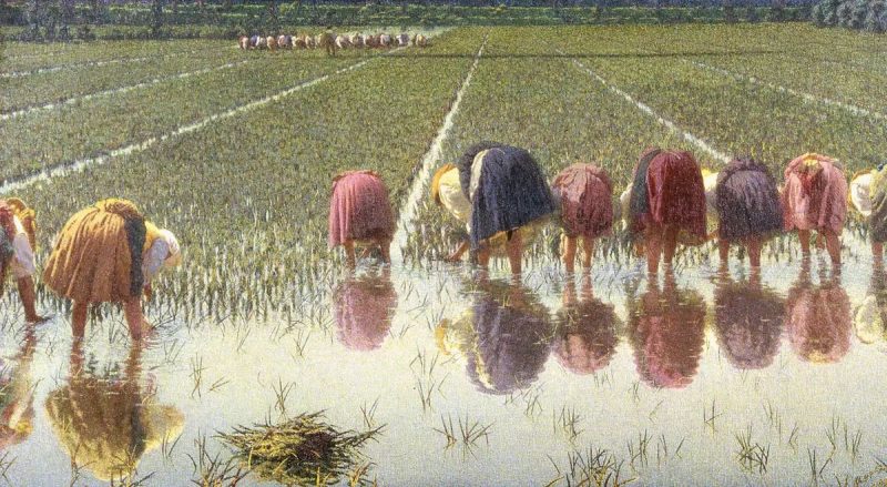 Angelo Morbelli, Per ottanta centesimi!, 1895-1897, olio su tela, cm 67,5 x 121,5, Museo Borgogna, Vercelli