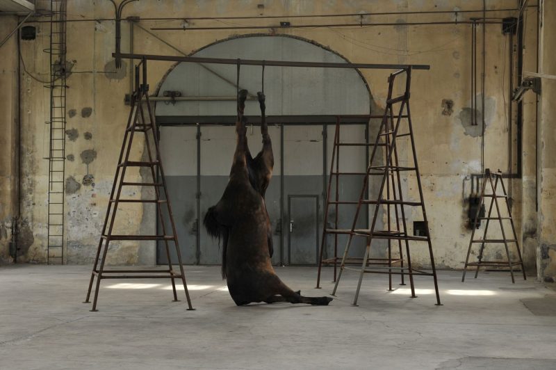 Berlinde De Bruyckere,The Embalmer (Dornbirn) 2015