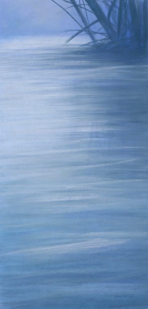 Graziella Da Gioz, Riflessi
