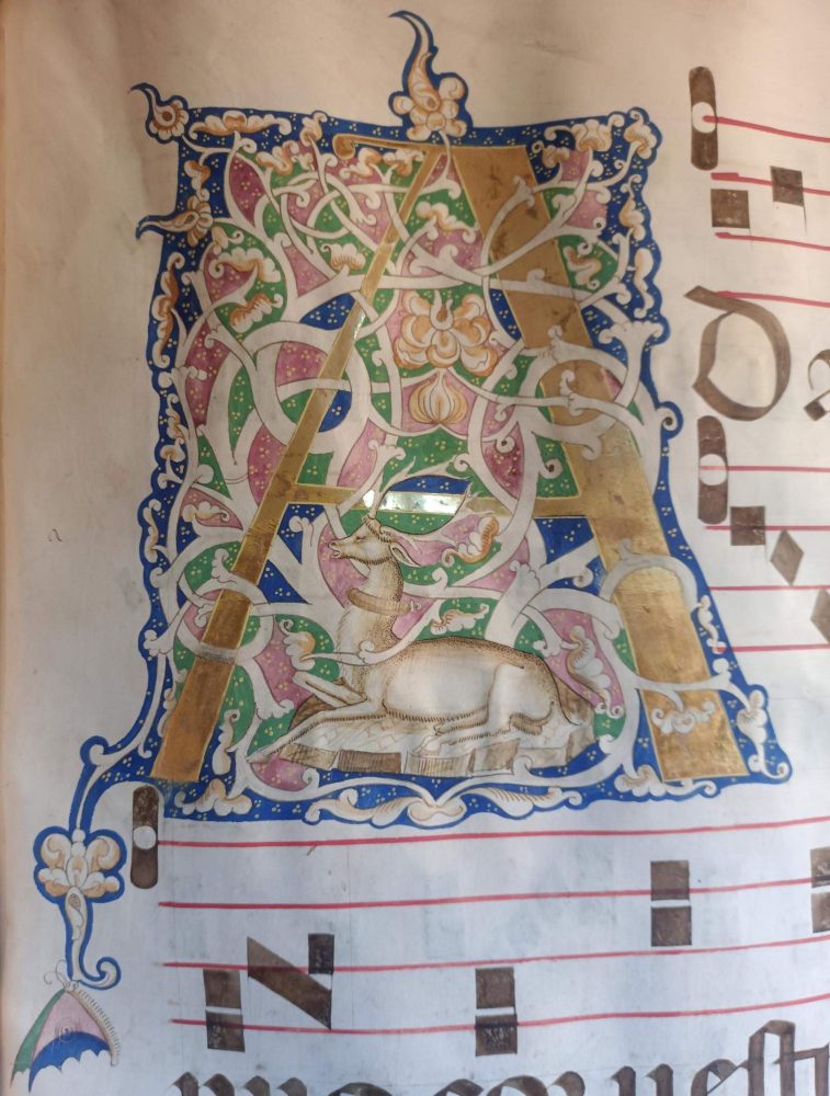 Museo di San Marco, Antifonario X, Iniziale A Cervo e Farfalla, c. 47r, XV secolo
