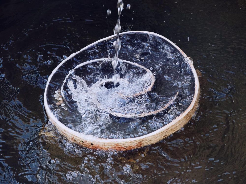 Cosmogonie dell'acqua, Claudia Muller